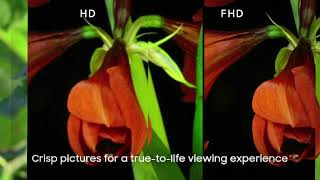 HD VS FHD