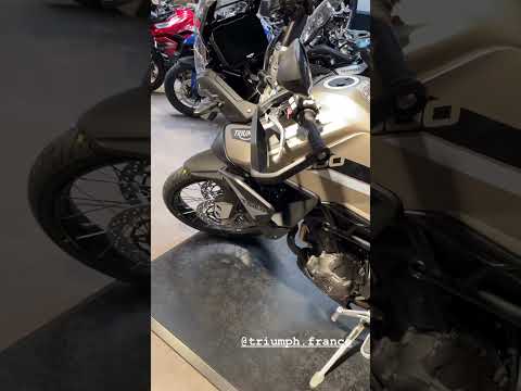 Triumph Tiger 900 Rally Pro #shorts