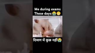 Mind is empty at the time of CET. #hssc #cet #cet2025 #viral #comedy #shorts #cmsaini #mind #exam...
