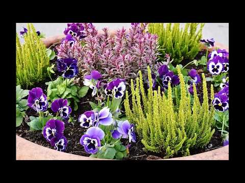Garden Landscape Design Ideas