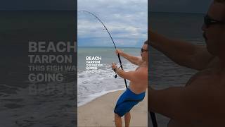 Secret Beach Loaded with Giants! #fishing