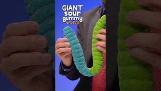 Can @Vat9Team  Break This Giant Sour Gummy Worm For $$$$