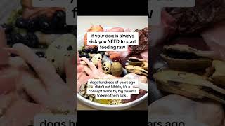 #dogsoftiktok #petadvice #newdogmom #dogs #dogsoftiktokviral #petsoftiktok #doglover