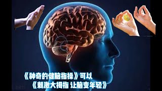 《神奇的健脑指操》可以《刺激大拇指，讓腦變年輕》