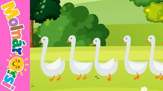 Száz liba egy sorba' - Gyerekdal