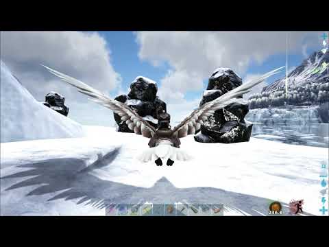 Ark - SP Island Nearly Official 11