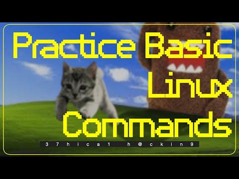 [ 37hica1 h@ckin9 ] 💻🐧 Practicing Basic Linux Command Via OTW Bandit WarGame 🎮🏴‍☠️