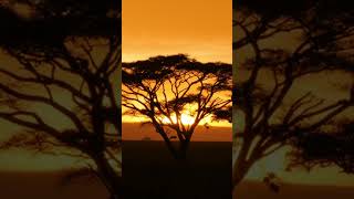 View of Tanzania #countries #africa #history
