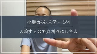 [Stage 4 small intestine cancer] I have been admitted to hospital, so I'm going to shave my head.