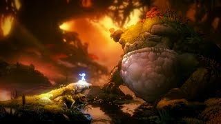 Ori And The Will Of The Wisps #2: Gặp Con Cóc To Nhất Khu Rừng