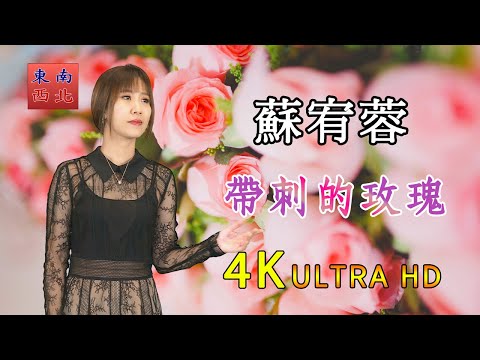 4K國語歌曲 蘇宥蓉 演唱 帶刺的玫瑰