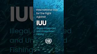 International Day Against Illegal, Unreported and Unregulated Fishing #oceanconservation #marinelife