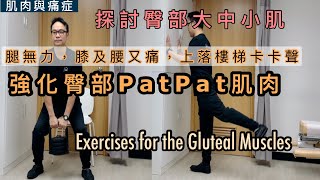 腿無力，膝及腰又痛，上落樓梯卡卡聲，可能是臀部肌肉出現問題！如何處理？簡單臀大中及小肌強化運動 [Eng Subtitles] Exercises for the Gluteal muscles