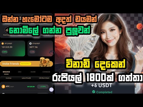 ඩයමන් 599ක් නොමිලේ | e money today new platform sinhala | e money online earning 2024