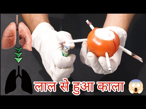 How Cigerette Affects Your Lungs 😱 Cigerette turned Tomato from Red to Black | Real Life Experiment