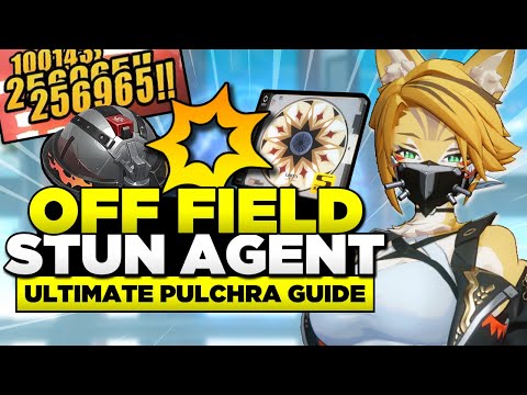 ULTIMATE Pulchra Guide and Showcase! [Builds, W-Engines, Teams, and MORE] Zenless Zone Zero