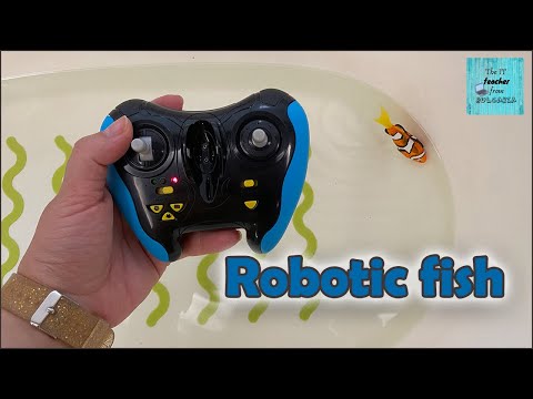 Robotic fish toy with a remote control by Zuru - Robo fish