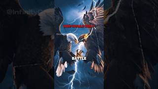 Golden eagle vs Bald eagle | ☠️🦅 #baldeagle #goldeneagle