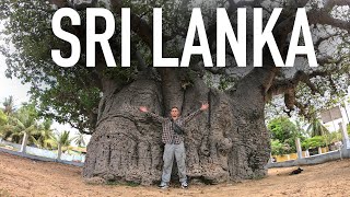 Exploring Sri Lanka (Ceylon) - South Asia's Island Nation