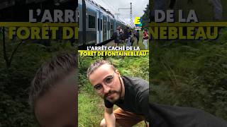 L’arrêt caché de la forêt de Fontainebleau ! 🌳🚶‍♂️ #shorts