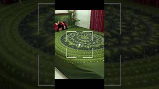 Green colour king size bed sheet #onlineshopping #viralvideo #trendingshorts #kingsize #ytshorts