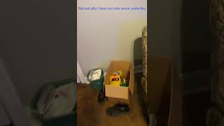 When you have not been outside in 2 years #shorts #subscribe #viral #vita