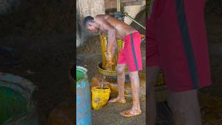 Palm oil production process #shortsvideo #palm #oil