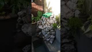 Koi POND MAKER  PUMP FEED SYSTEM