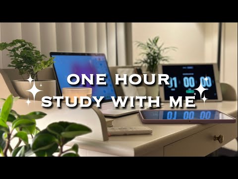 one hour late night study with me, chill lofi music 🍃
