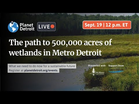 Sept. 19: The path to 500,000 acres of wetlands in Southeast Michigan