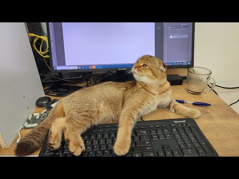 XO Game in JavaScript. Part I