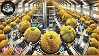 Shocking Thai Jackfruit Harvest - How Thailand Grows and Prepares Street Food | Processing Factory