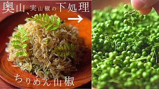 保存版！【実山椒 レシピ】ちりめん山椒の作り方と実山椒佃煮『実山椒 下処理』本来の仕方
