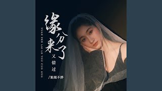 缘分来了又错过 (伴奏)