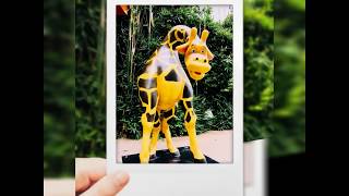 動物派對打卡熱點-動物明星