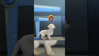 Brawl stars Rank up #short#shortv#brawl #brawlstars #rankshorts #brawl starsgame