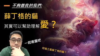 其實，我們都是薛丁格的貓？何瑞之有愛嗎？ 【科學】X【正念】一起癒靈吧！#量子 #不夠善良的我們 #善良的我們