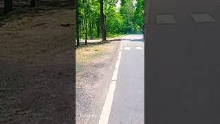 #shortvideo #travel #vlog #startablog #pulsar150