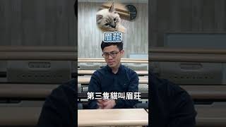 Mason的擼貓人生