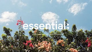 songs to while away the afternoon in spring 🌻 cafe vibes pop songs