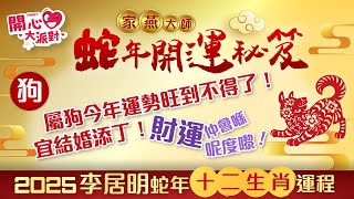【家燕大師蛇年開運秘笈】屬狗今年運勢旺到不得了！宜結婚添丁 財運仲會喺呢度嚟！