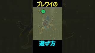 【 ブレワイ】　エアクライム編 #ゼルダの伝説 #zelda #ゼルダの伝説ブレスオブワイルド #ゼルダの伝説ティアーズオブザキングダム