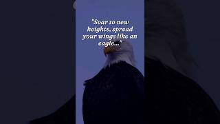 Embrace Your Inner Eagle 🎯💪 #powerfulmindset #mindsetmastery #goalcrusher #eagles #motivation