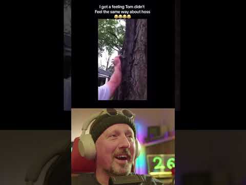 Good Bye Little Squirrel