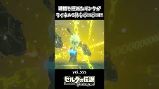 【ブレワイ】戦闘を極めたリンク VS 最強ライネル2体【ゼルダの伝説 ブレス オブ ザ ワイルド】