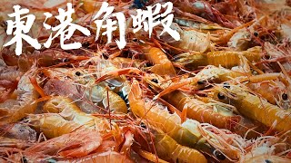 【去你家做生魚片】到華僑市場 前鎮魚市採購 台南會員「上集」