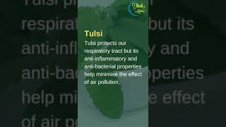 Hearbs to fight Air pollution_|_#thinkmedia