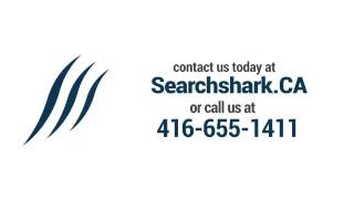 custom software company Mississauga