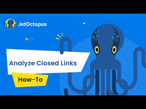 🕵️‍♀️ Find Links to Not-Indexable and 404 Pages in One Click with JetOctopus