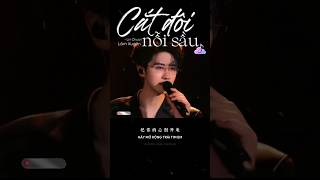 Hot Douyin: Mỹ Nam Cover " Cắt Đôi Nỗi Sầu " Gây Sốt Khắp Douyin #shorts #douyin #music #伤心剖半